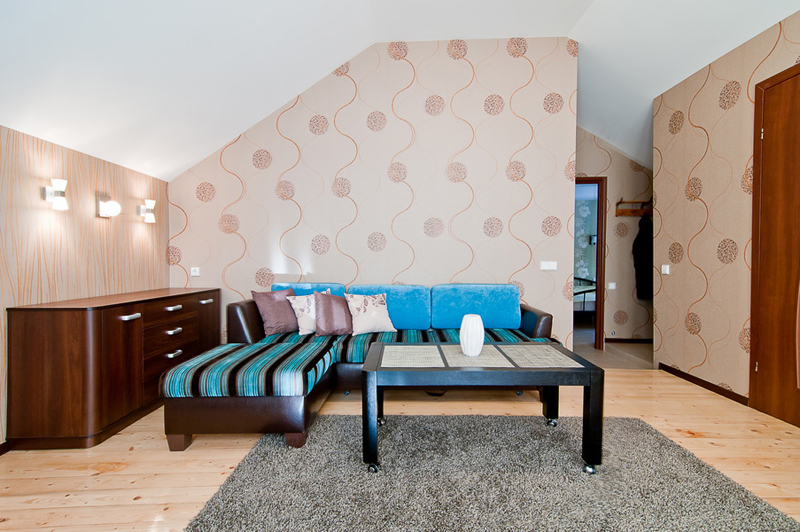 Trumpalaikė nuoma 2 KAMBARIŲ APARTAMENTAI, Druskininkai