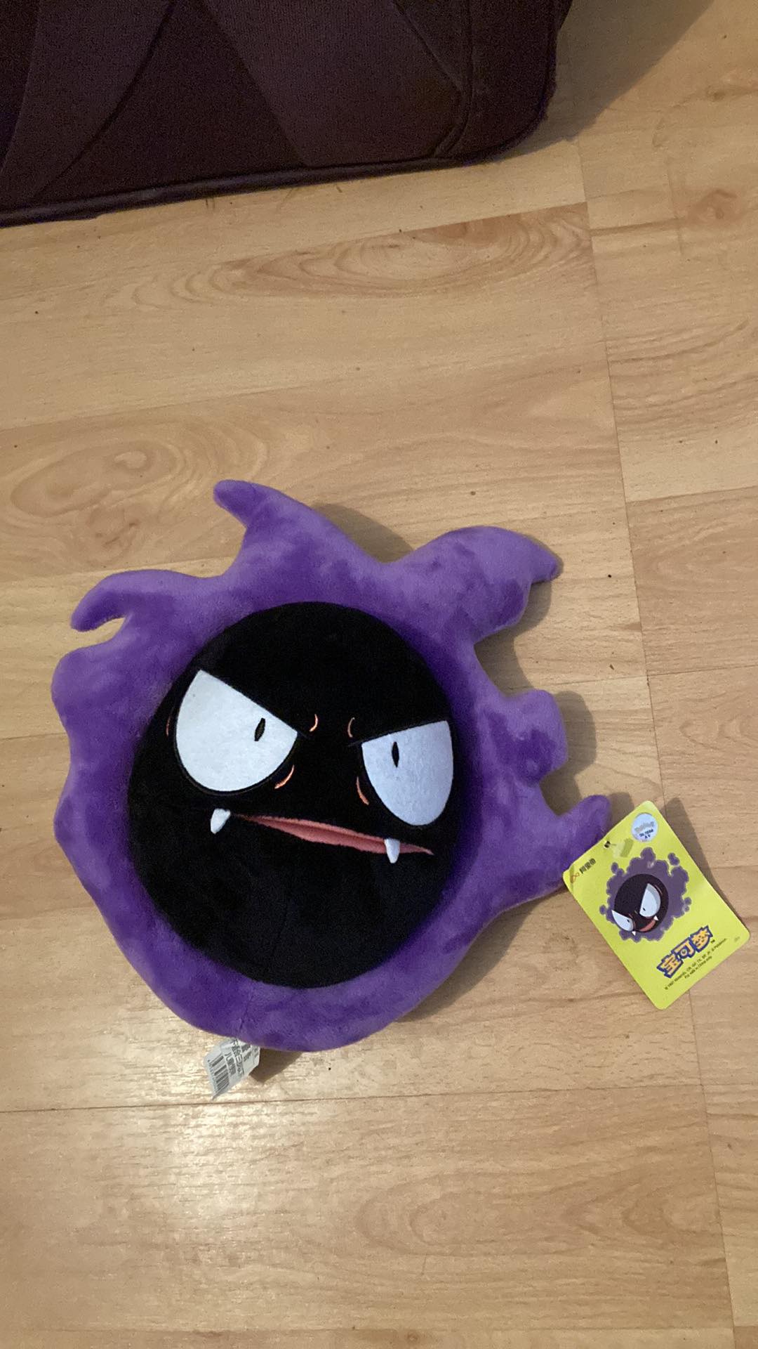 Pokemonas Gastly naujas žaislas