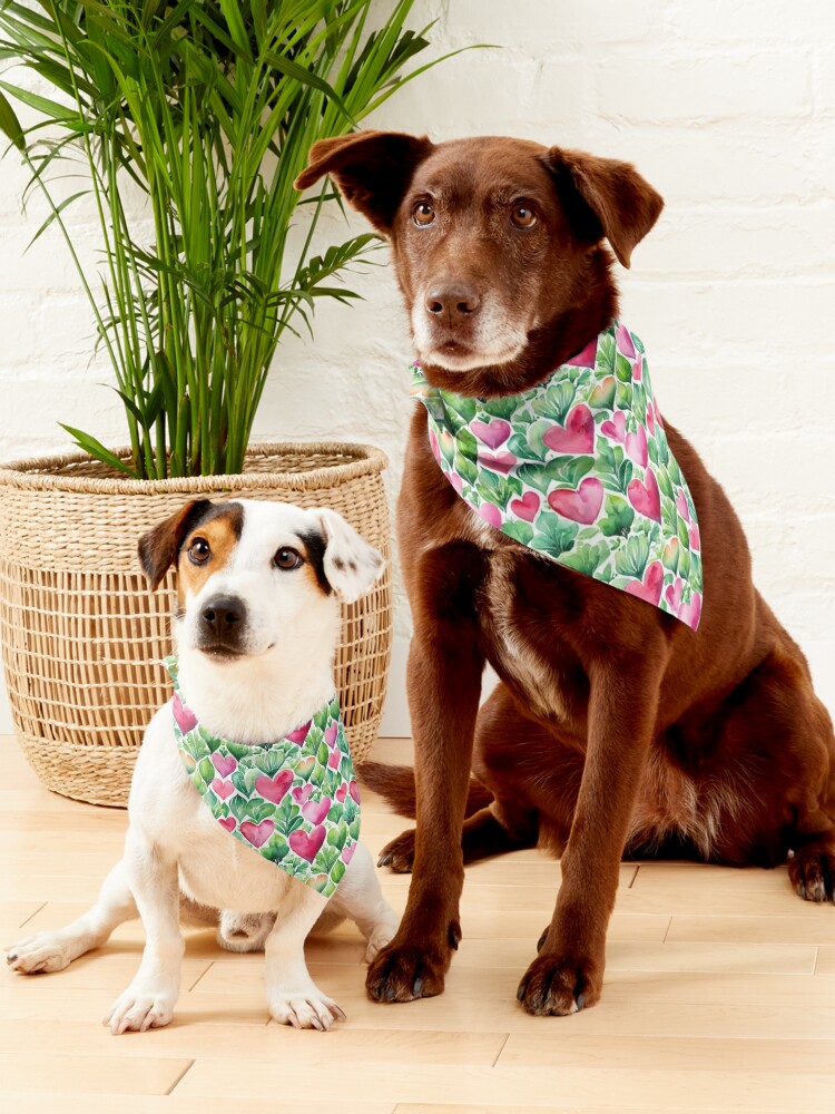 Skarelė / Bandana augintiniams