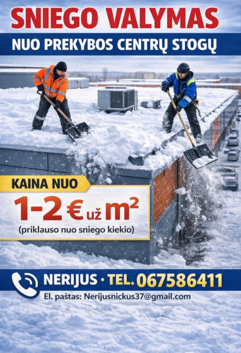 Apdailos darbai ,sniego kasimas njo ploksčiū stogū