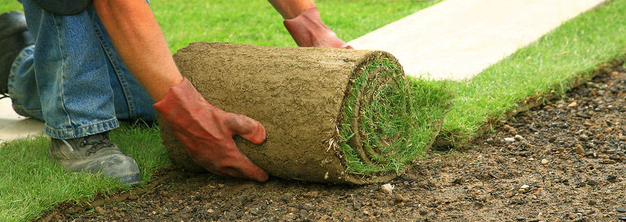 Vejos irengimas 067774850 vejos prieziura gerbuvio darbai